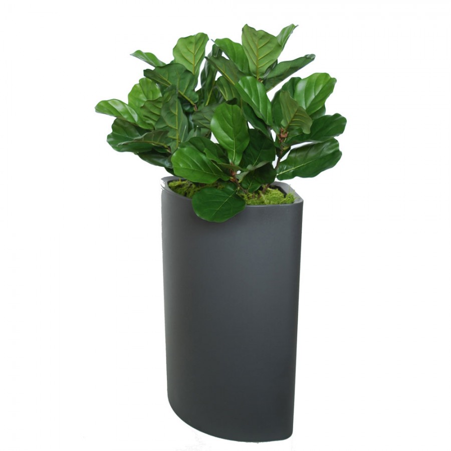 Planta semi-artificiala Ila, Ficus Lyrata Green - 120 cm